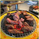 신마포갈매기 이미지