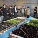 김선태농장 이미지