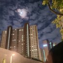 한울마을 1단지 아이파크 앞 사거리-2(동패동 1834) | [운정신도시아이파크] 한울마을 1단지 운정신도시 아이파크 실거주 후기