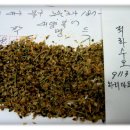 대양복어 이미지