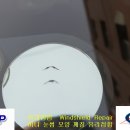 미니 눈썹 모양 깨짐 유리접합 돌빵 유리접합 서울유리복원 Windshield Repair 이미지