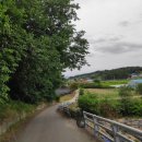 열녀 한양조씨 정려 이미지