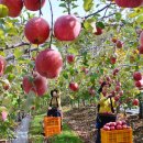 매현2농장 이미지