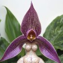 데이데이 이미지