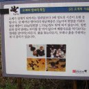 (주)지산농원 네이버블로그