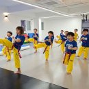 ITDA태권도장 이미지