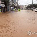 거진시내 이미지