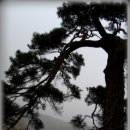 천천면광산마을 이미지