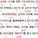 1213회 천기수와 신서풀이(종료) 이미지