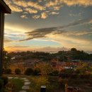 오차드 123 이미지