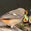 만시지탄 이미지