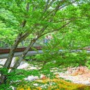 산청한방가족호텔(주) 투어코리아
