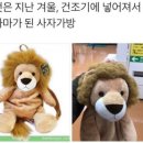 뽀끔
