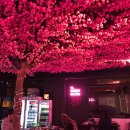 홍해정육점 이미지