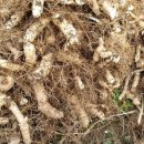 황정농장 이미지