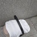 이대서울 제왕절개 후 소아청소년과 / 산부인과 진료 후기