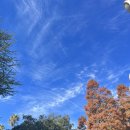 채플린당구장 이미지