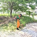 진보면사무소 이미지