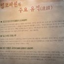 영동교골목시장 | 경북 영천 1박2일 먹고 걷고 한잔하는 여행 코스 -1일차