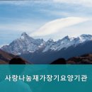 나눔재가장기요양기관 | 부모님 위한 광주시 서구 요양원 추천 사랑나눔재가장기요양기관 부모님을 위한 최적의 선택