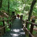 그린막국수 이미지