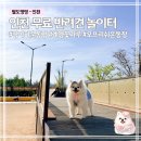 꽃마루 | 인천 무료 반려견 놀이터 계양 꽃마루 | 애견동반 산책코스 추천