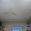 대암 팜트리 | 2025. 8월 그 언젠가