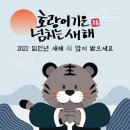 빛나개 이미지