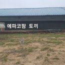 케어팜동물병원 이미지