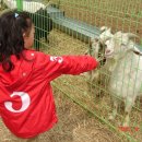 근수목장 이미지