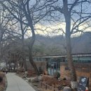 안성 카페 노주현 카페 로스가든카페앤비노