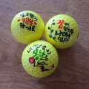 하루야