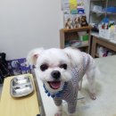 무전4길 이미지