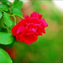 대전정부청사 남문 이미지