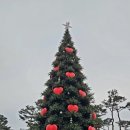 더 마켓 코리아 | [팝업] 잠실 크리스마스 마켓 낮 타임 현장 방문 후기 | 기본 정보, 팝마트 라부부