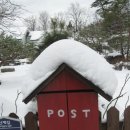 솔바람 들꽃향기 이미지