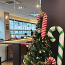 갤러리밸류시티 | 세종 나성동 맛집 에이트 블루리본 10개 받은 분위기 좋은 레스토랑 방문 후기