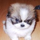 4(사)회성성장프로그램 | [대외활동] DB 드림리더 3기 서류 면접 합격 후기!