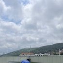 댕스케어센터 이미지
