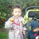 준기농장 이미지