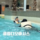드림베스 | 부산 아이랑 가볼만한곳 클럽디 오아시스에서 하루 종일 놀고 쉬었던 가족 후기