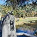 인디안코리아 | [코리아레일투어] 강원도 인제 자작나무숲 - 홍천 수타사 당일 ITX 기차여행 후기