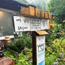 내고향밥집 | 홍천맛집 은행나무숲 백반기행 오대산내고향 점심식사 후기 ~