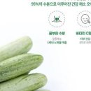 오이 효능 및 부작용 이미지