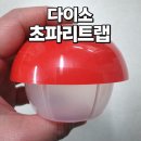 더 착한트랩 | 화장실 화분 초파리 박멸 프로젝트 다이소 초파리트랩