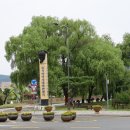 대가야테마관광지 물놀이장 이미지