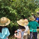 풀빛향기송정마을 이미지