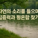 자연의소리 | 자연의 소리를 들으며 집중력과 평온함 찾기