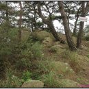 덕적면사무소 이미지