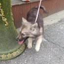 상나운1길 이미지